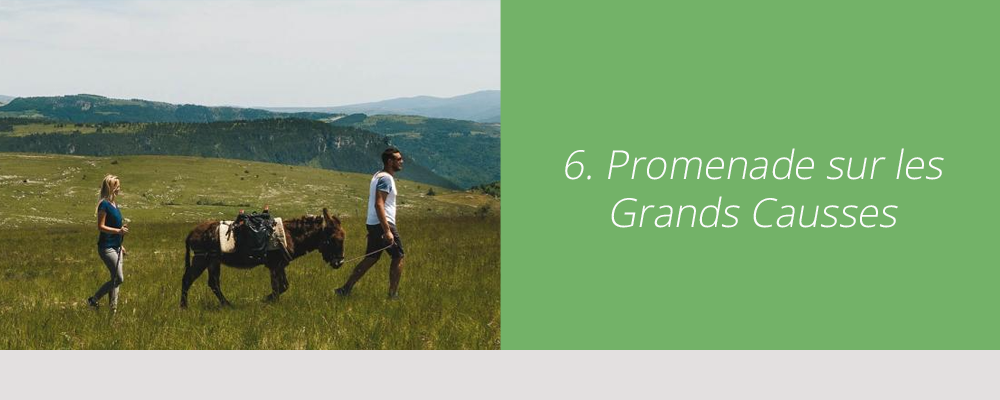 Les Grands Causses