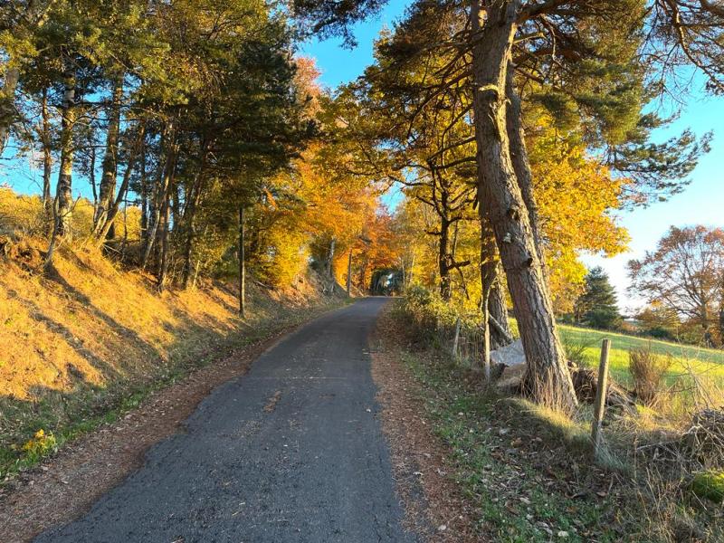 Découvrez l&rsquo;Automne au Gévaudan et aux Gorges du Tarn : Un Voyage au Cœur de la Beauté&nbsp;Naturelle