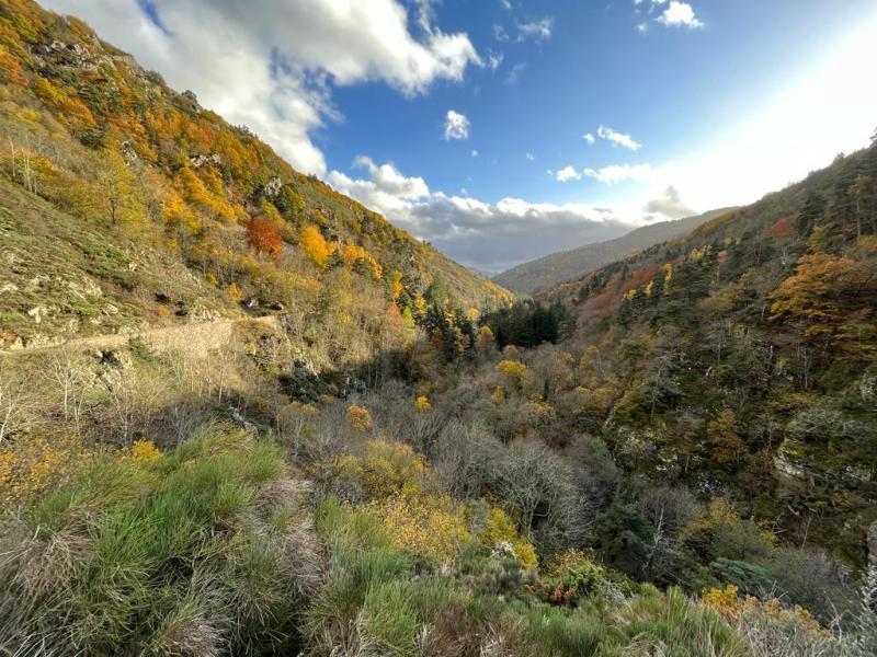 La Lozère en automne : Une Échappée Inoubliable entre Nature et&nbsp;Patrimoine
